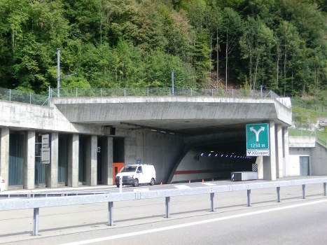 Lopper tunnel southern portal