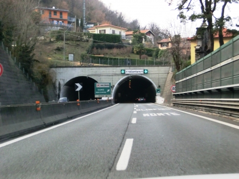 Monte Olimpino Tunnel southern portals