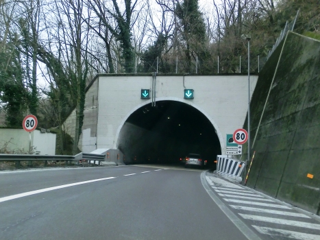Monte Quarcino Tunnel northern portal