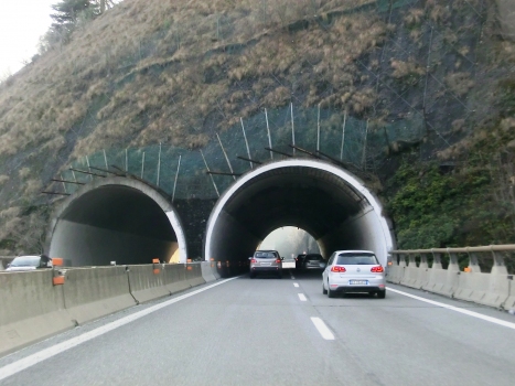Villa Maria Tunnel northern portals