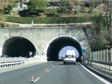 Villa Maria Tunnel southern portals