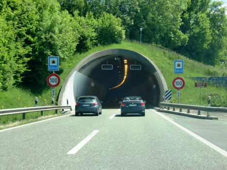 Belmont Tunnel northern portal
