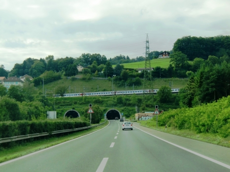 Tunnel Flonzaley