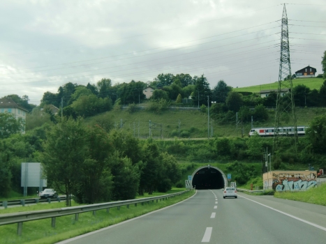 Tunnel de Flonzaley