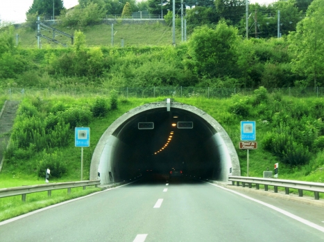 Flonzaley Tunnel southern portals