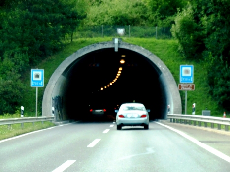 Flonzaley Tunnel southern portals