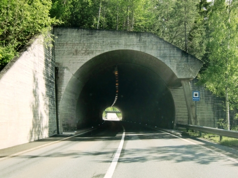 Tunnel Bachwald
