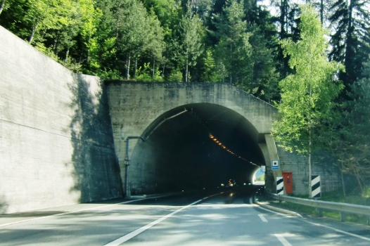 Tunnel de Gesterna