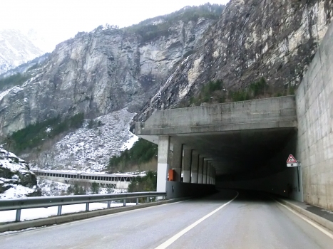 Presa d'Forul Tunnel southern portal