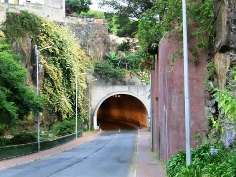 Avenida da Autonomia-Tunnel