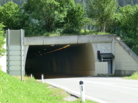 Tunnel de Wald im Pinzgau