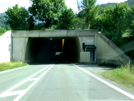 Tunnel Wald im Pinzgau
