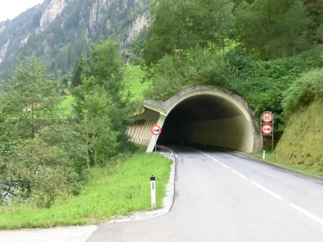 Saustein Tunnel northern portal