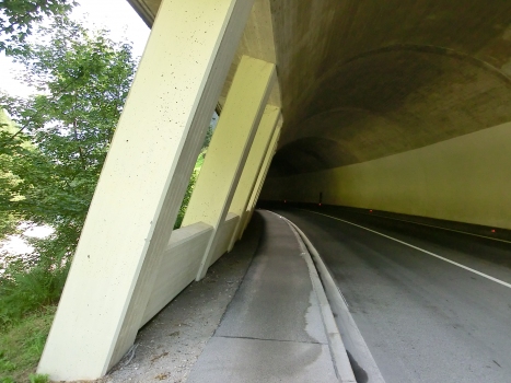Tunnel Saustein