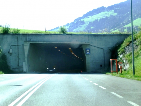 Tunnel de Hof