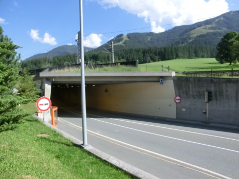 Hof Tunnel western portal