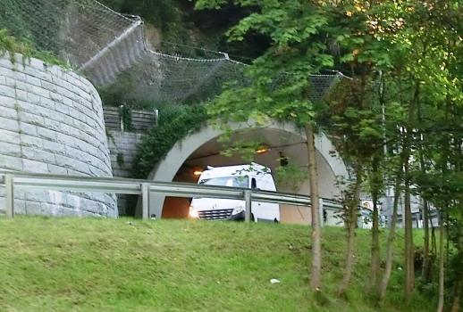 Lebenberg Tunnel eastern portal