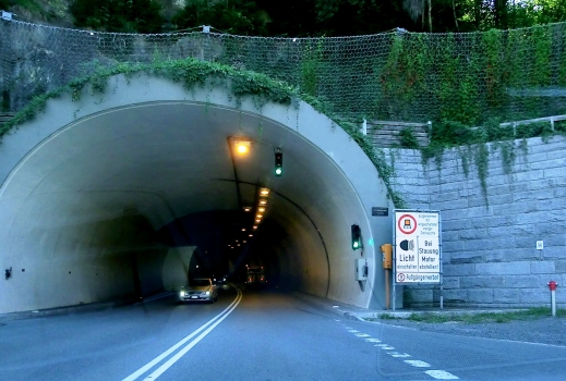 Tunnel Lebenberg