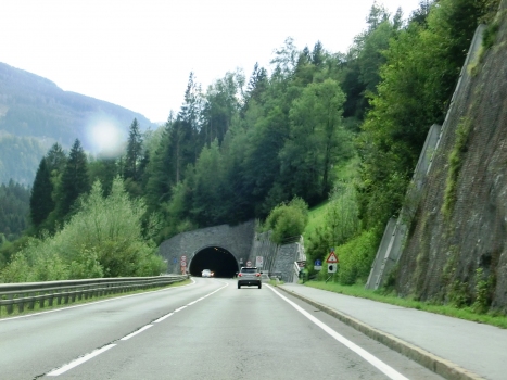Trattenbach Tunnel eastern portal