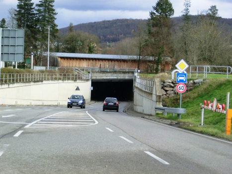 Wiesen Tunnel western portal