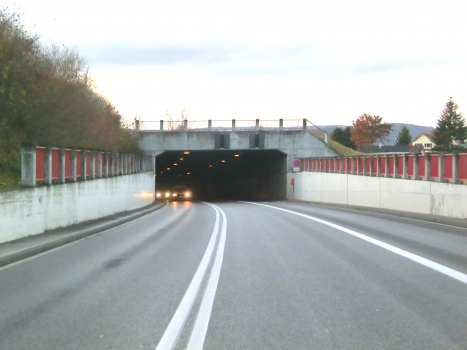 Bietingen Tunnel eastern portal