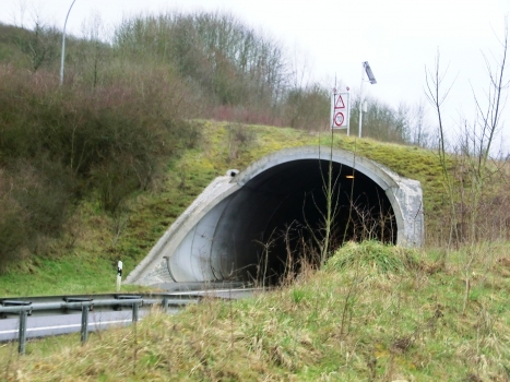 Schieren Tunnel northern portal