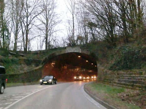 Schlossberg Tunnel eastern portal