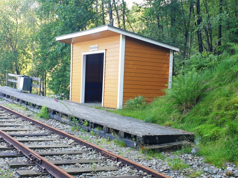 Bahnhof Bakkekleivi