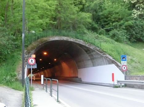 Belluno Tunnel eastern portal