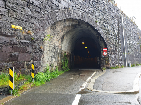 Rothaugen-Tunnel