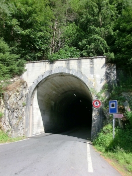 Steinmatten Tunnel western portal