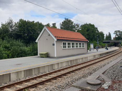 Bahnhof Blommenholm
