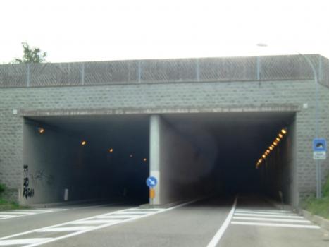Falchi Tunnel
