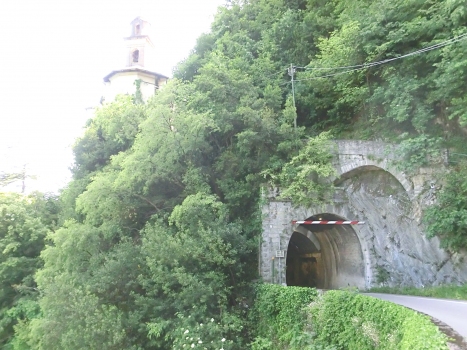 Puncett Tunnel northern portal