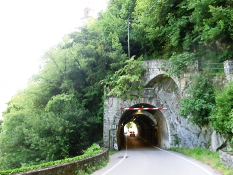 Puncett Tunnel northern portal