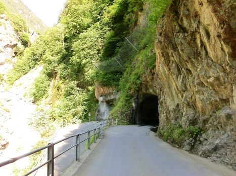Tunnel Bristen 1