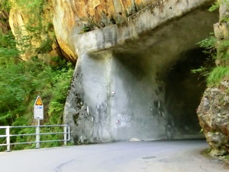 Tunnel de Bristen 1