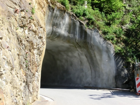 Tunnel Bristen 2
