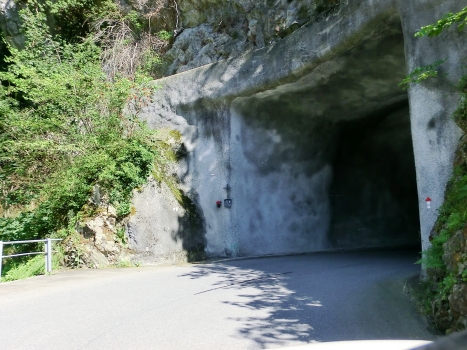 Bristen 3 Tunnel
