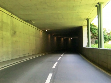 Tunnel Bristen 4