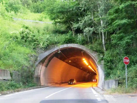 Campolungo Tunnel north-eastern portal
