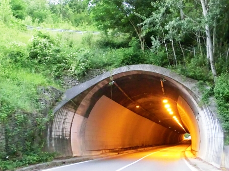 Campolungo Tunnel north-eastern portal