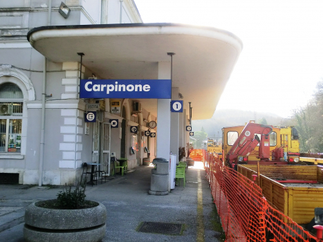 Carpinone Station
