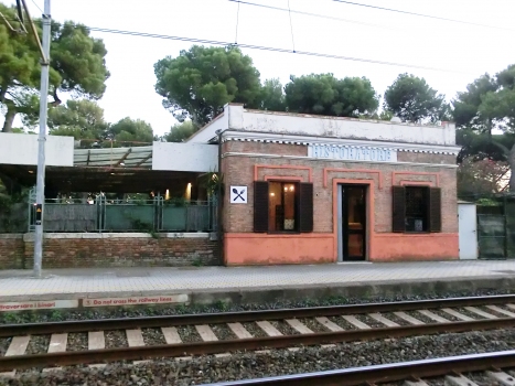 Castiglioncello Station