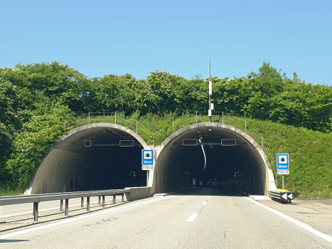 Metairie Tunnel