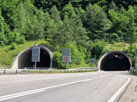 Pierre Pertuis Tunnel
