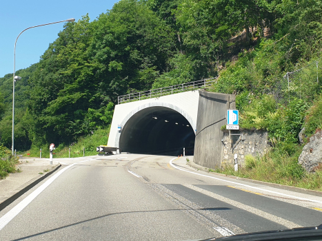 Taubenloch Tunnel V
