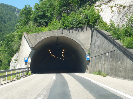 Taubenloch Tunnel VII