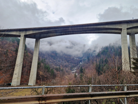 Biaschina Viaduct