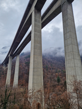 Viaduc de Biaschina